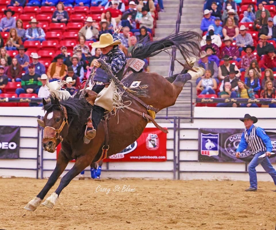 Benny Binion’s Bucking Horse and Bull Sale