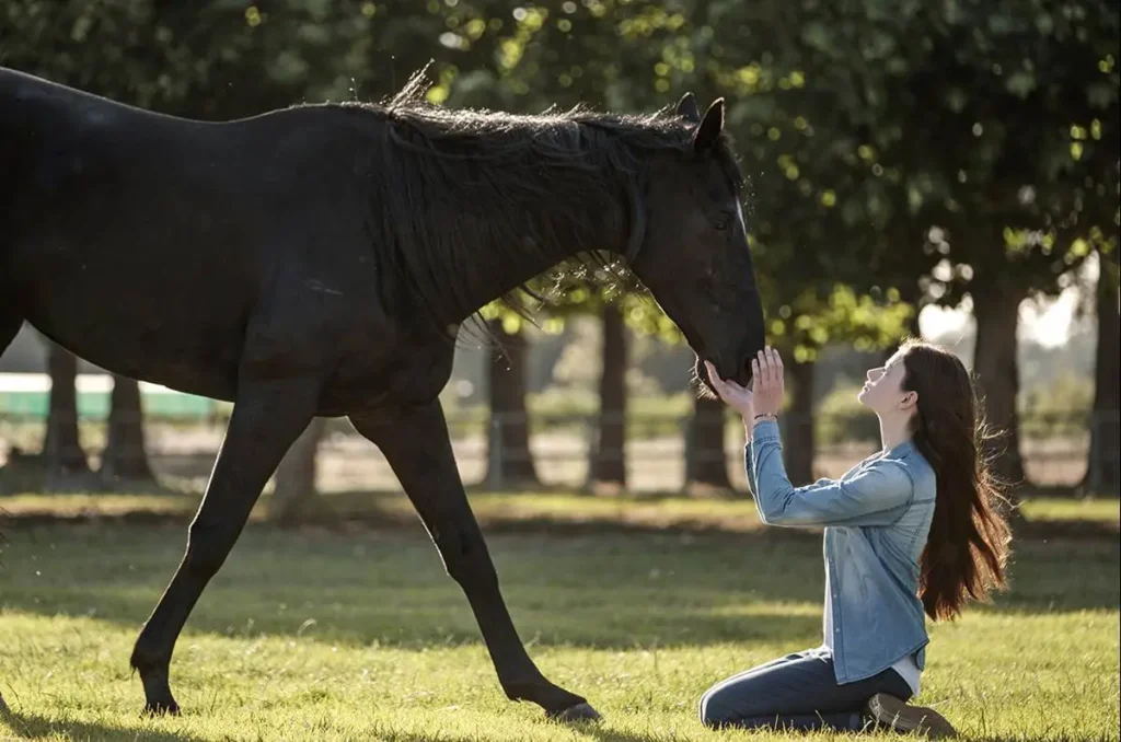 Black Beauty (2020)