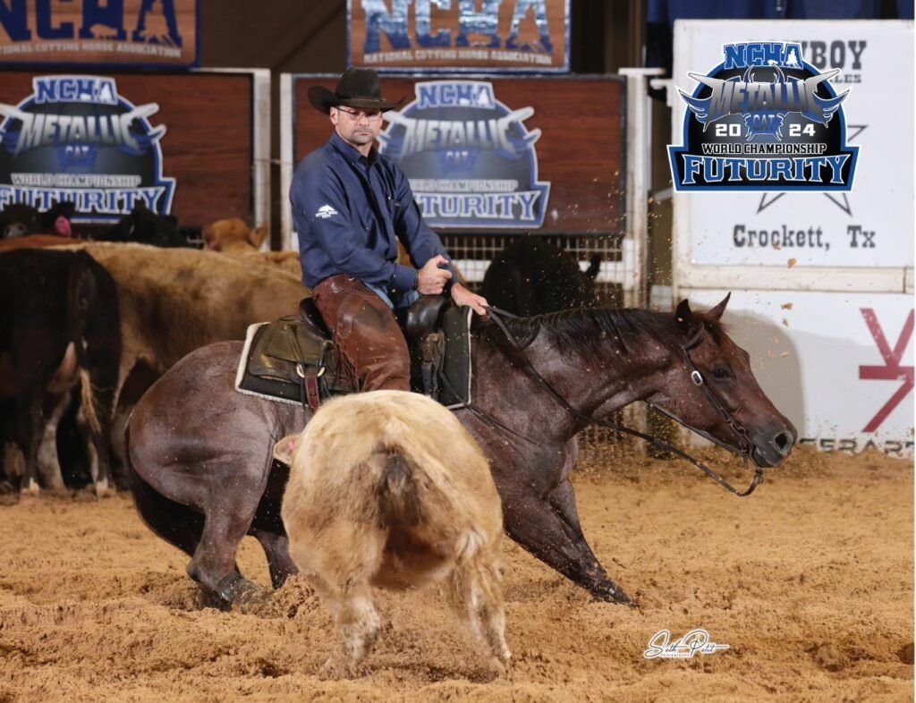 Cutting Horse 002