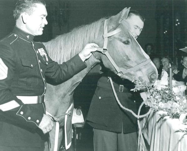 Decorated for Valor