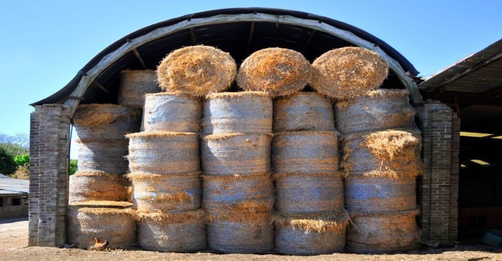 Horse Hay 002