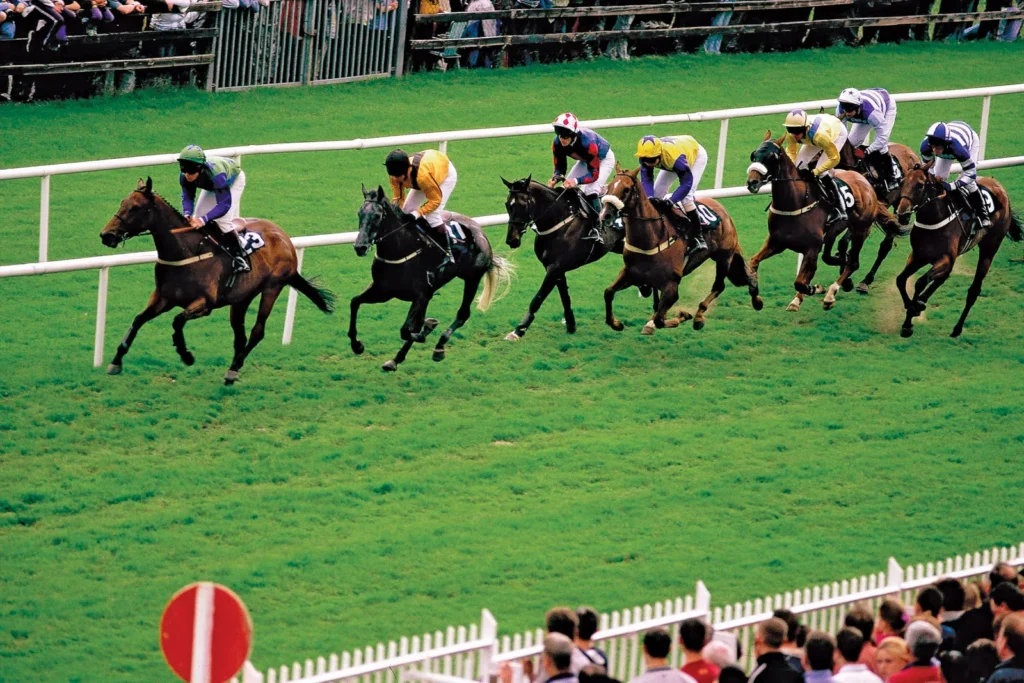 Horse Racing-The High-Speed Gamble