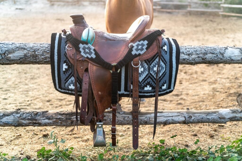 Horse Saddle with Color 00192
