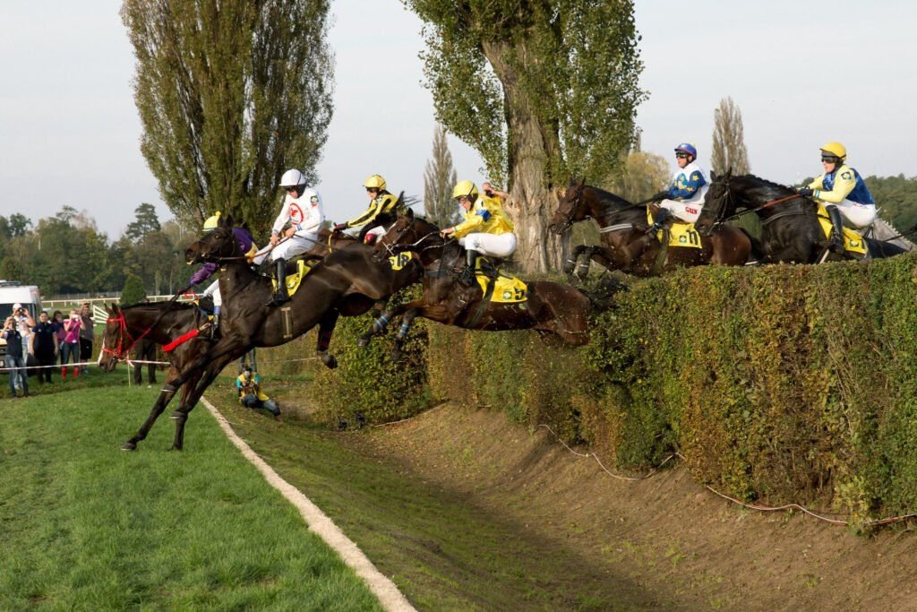 Steeplechase-The Ultimate Race Over Obstacles