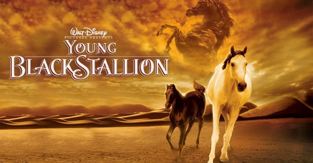 The Young Black Stallion (2004)