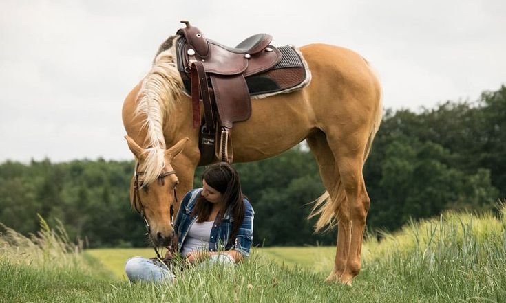 Western Style Riding-Tips and Tricks to Try