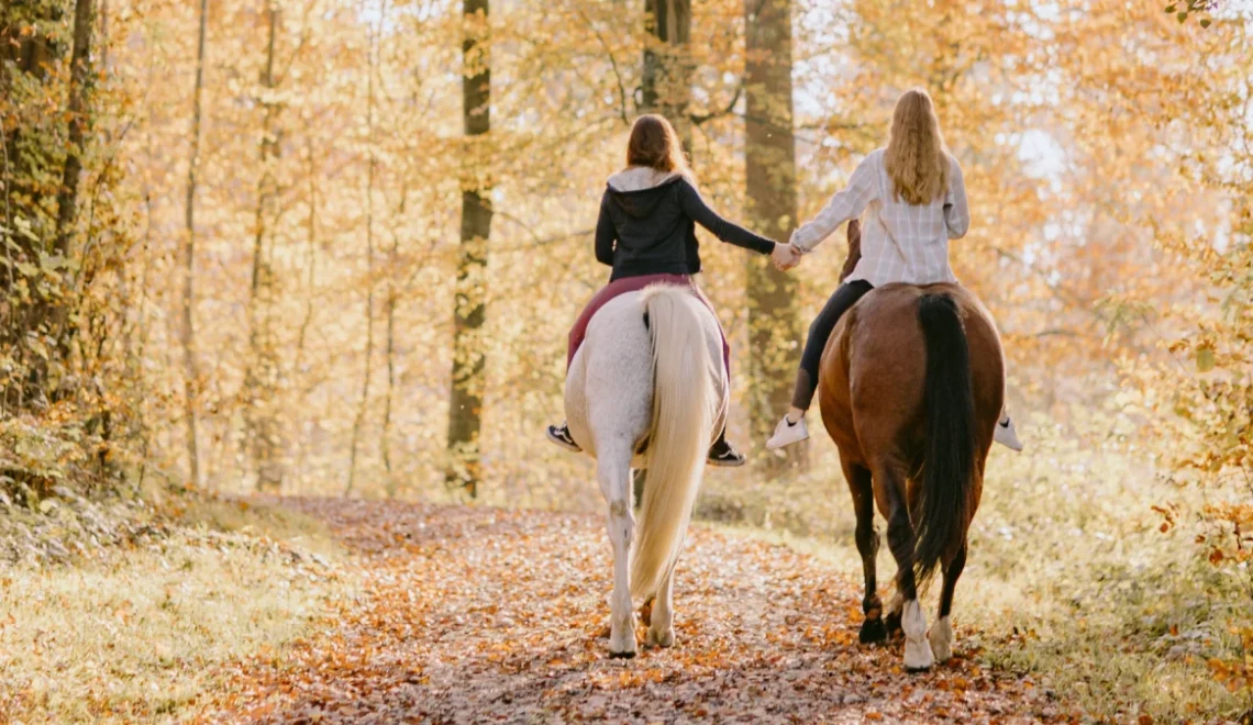 What is Trail Riding and Why You Should Try It