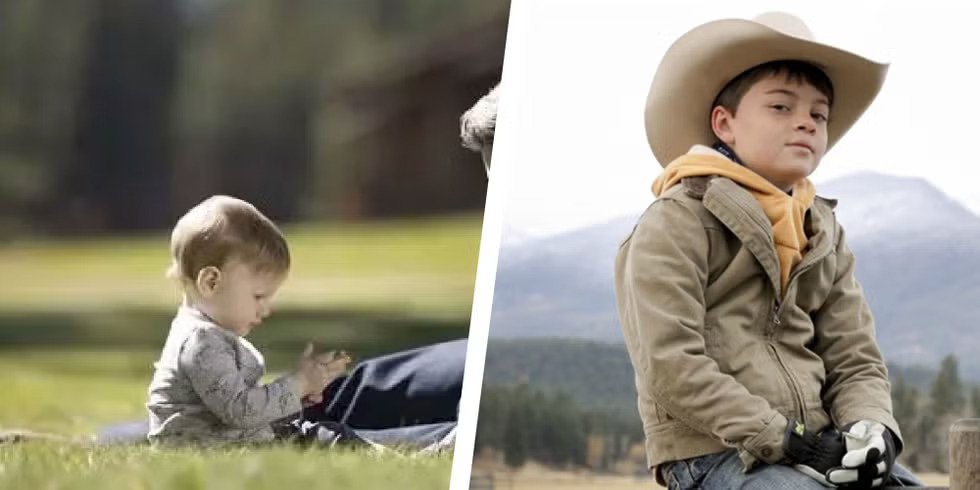 Yellowstone Seventh Generation