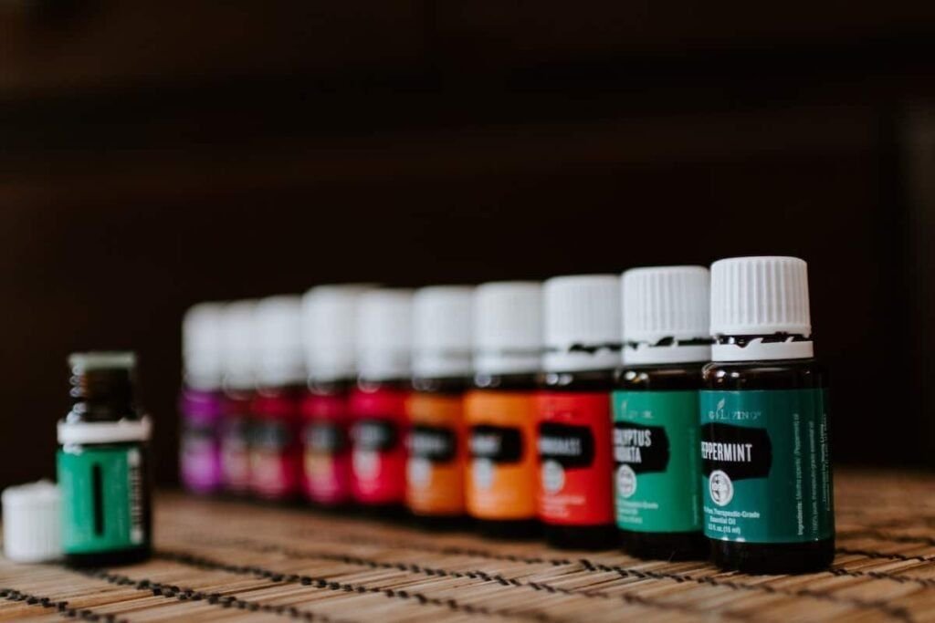 10 Essential Oils That Bugs Hate