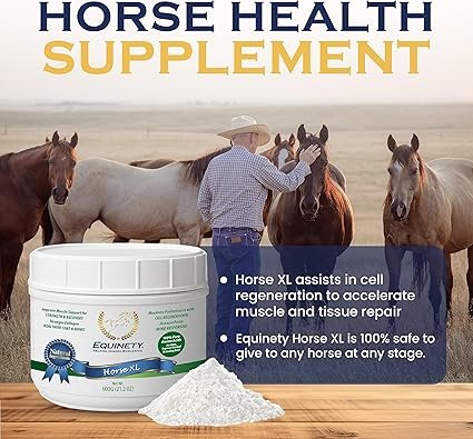 100-Day Supply Horse XL Horse Supplements 002