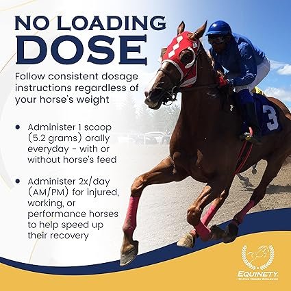 100-Day Supply Horse XL Horse Supplements