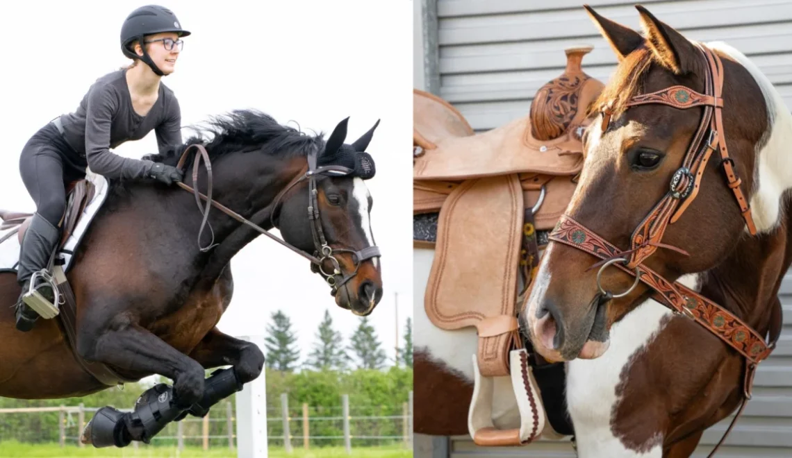 5 Key Difference Between Riding Western and English