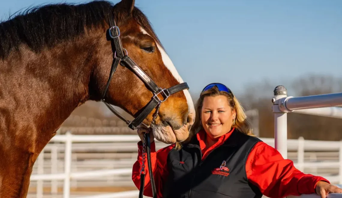 A Day in the Life of a Budweiser Clydesdale Ranch Manager