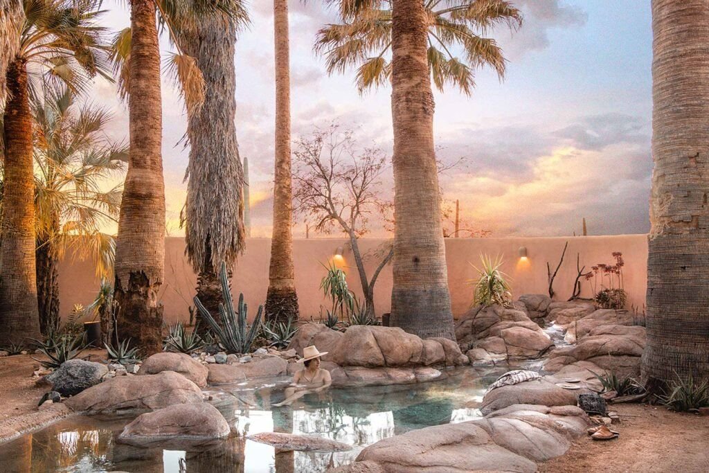 A Tale of Two Locations-Joshua Tree and Tucson