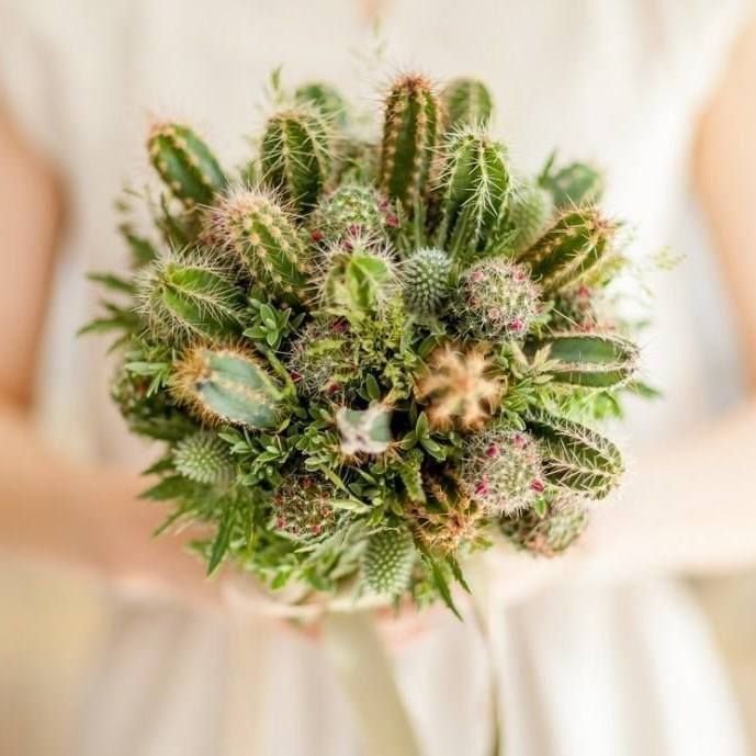 Cactus-Bouquets-in-Photos