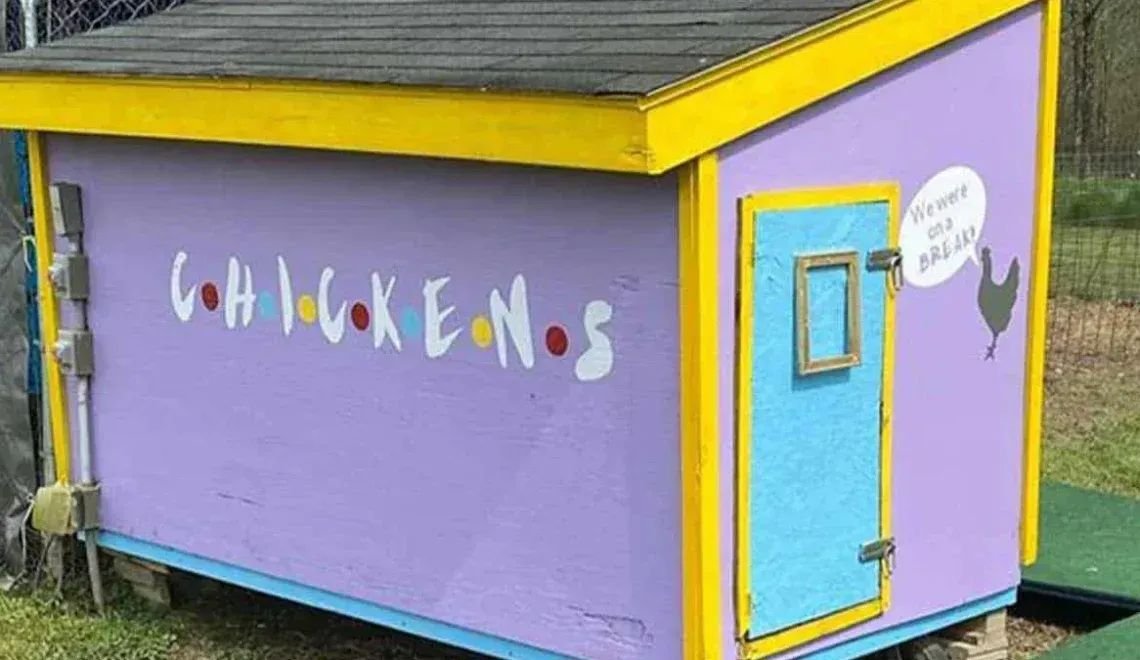 Central Perch-The Ultimate Chicken Coop for Your Flock
