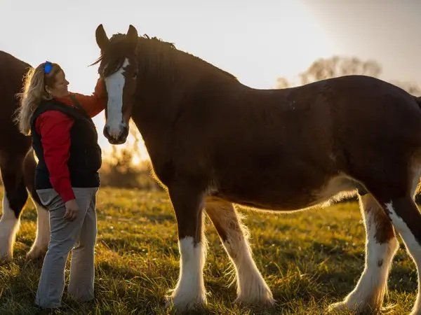 Daily Responsibilities of a Ranch Manager