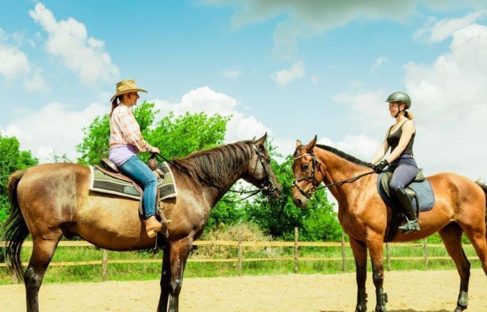Equipment-Saddles, Bridles, and Reins