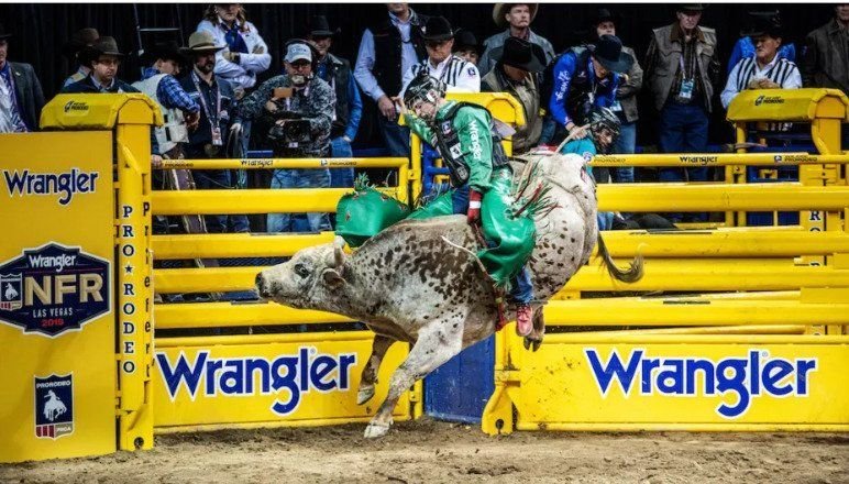 Go Texan Day 2024-Wrangler Sponsors Houston Rodeo