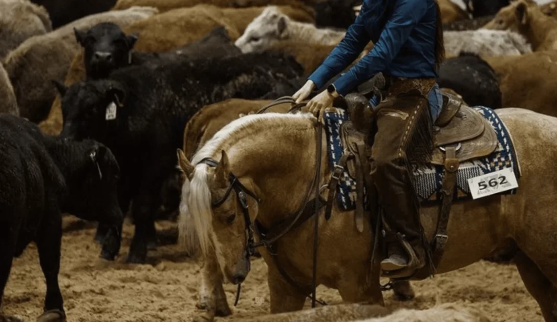 Horse Show Packing List-Essentials for a Stress-Free Event