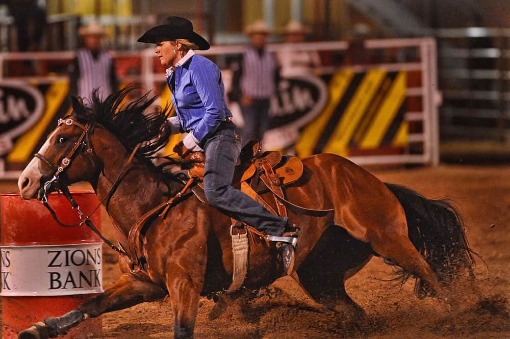 Quarter Horse-Short-Distance Speed Specialist