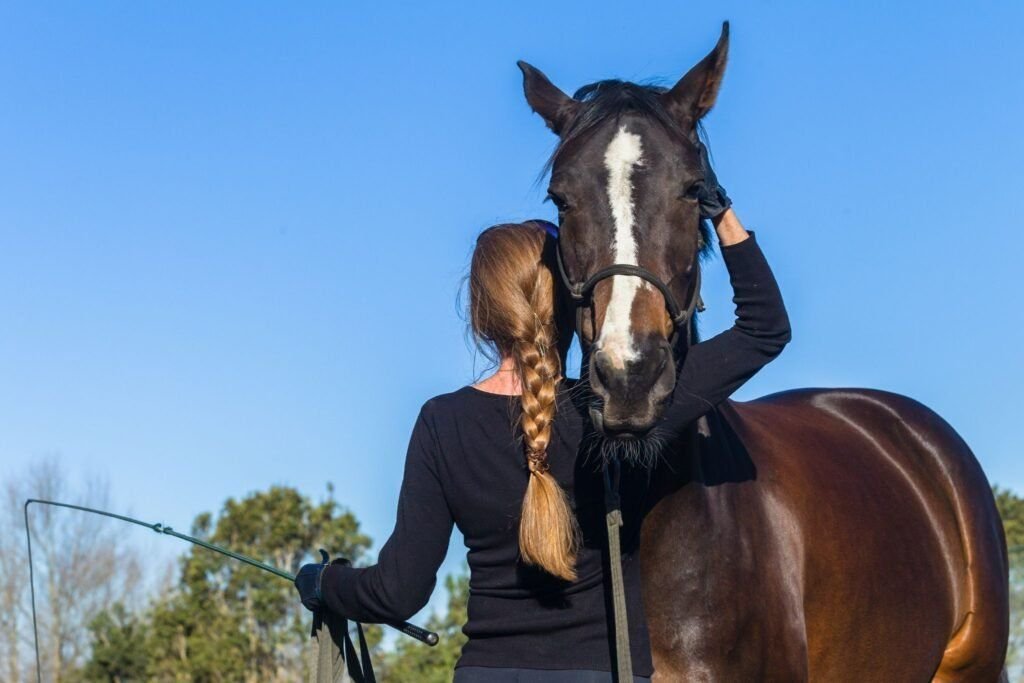 Round Pen for Horse Training 00182