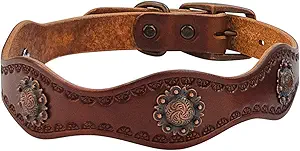 Weaver Leather Sundance Dog Collar