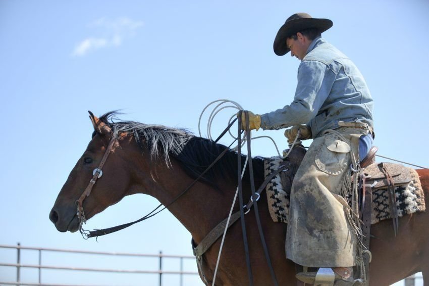 Why Western Chaps Matter