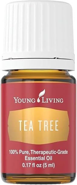 Young Living Tea Tree (Melaleuca Alternifolia) Essential Oil – 5ml Bottle – Clear and Healthy Complexion – Inhale The Refreshing Aroma of Tea Tree Oil to Support Clear Breathing