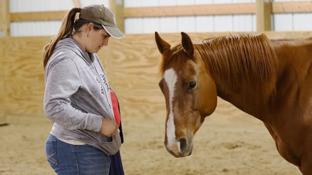horse-displaying-relaxation-signs