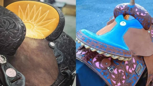 Vibrant Horse Saddles Add Color to Your Ride🎨 Add a pop of color to your next ride with vibrant saddles! 🐴✨🌟 From bold designs to comfy fits, it’s time to saddle up in style. 🤠📸 Your horse deserves the ultimate Western glow-up. 💖https://cowgirlspromise.us/vibrant-horse-saddles-add-color-to-your-ride/#HorseSaddles #EquestrianStyle #WesternRiding #ColorfulVibes