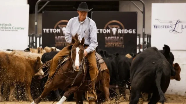 Fort Worth Cutting Horse Show 2022🐴 Witness cutting horse magic in Fort Worth! ✨🤠🌟 Precision, skill, and heart come alive in the arena. ❤️📸 Relive the highlights of this iconic Western event! 🌵https://cowgirlspromise.us/fort-worth-cutting-horse-show-2022/#CuttingHorseShow #FortWorth2022 #EquestrianEvents #WesternTradition